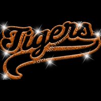 GLT78 ORANGE GLITTER Thumbnail