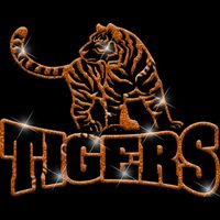 GLT32 ORANGE GLITTER Thumbnail