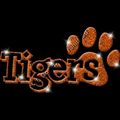 GLT17 ORANGE GLITTER Thumbnail